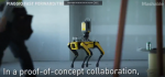 🤖 CHÓ ROBOT GIỜ CÓ THỂ ĐI THEO BẠN – KHÔNG CẦN DÂY DẮT, CŨNG KHÔNG CẦN NÃO