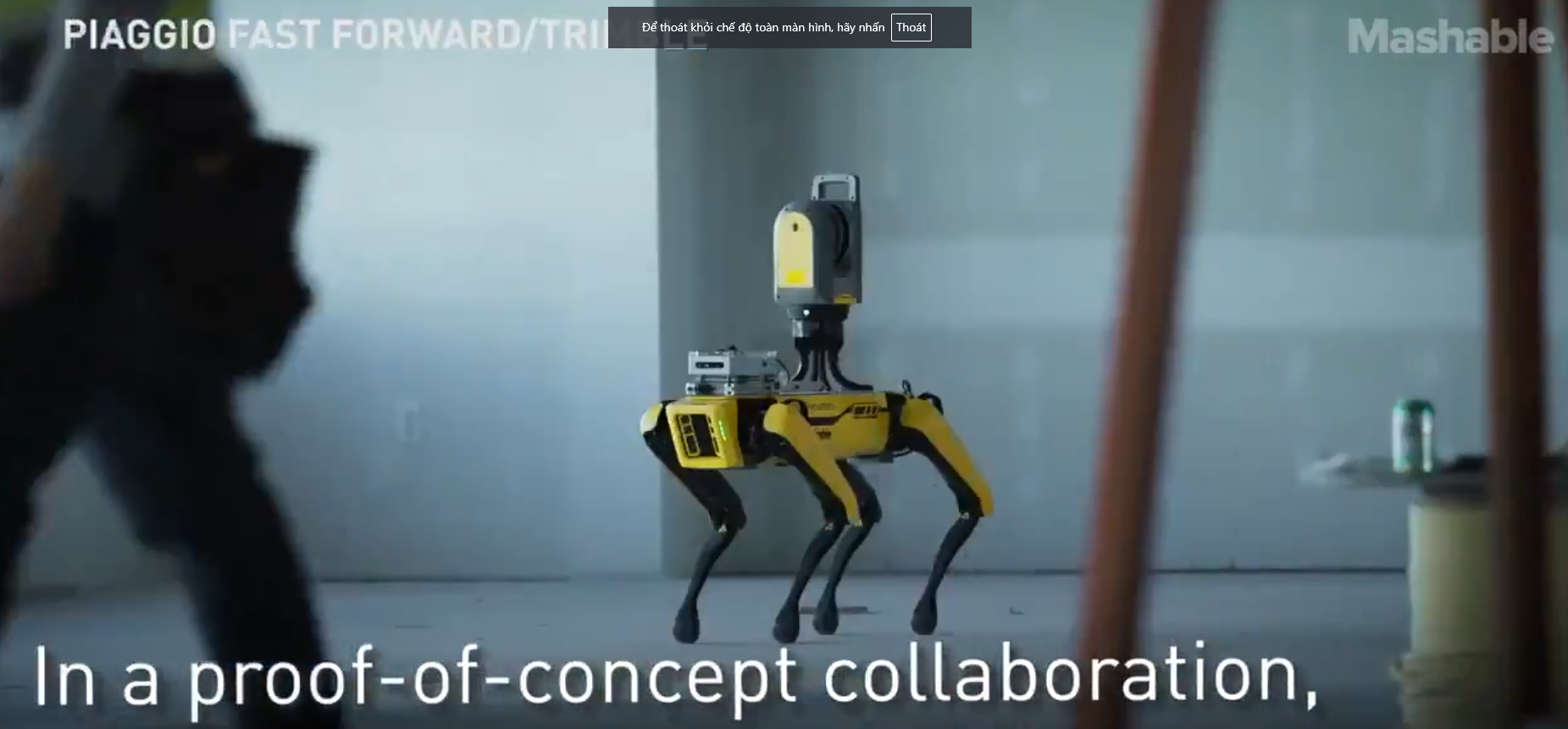🤖 CHÓ ROBOT GIỜ CÓ THỂ ĐI THEO BẠN – KHÔNG CẦN DÂY DẮT, CŨNG KHÔNG CẦN NÃO