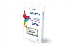 Ổ cứng SSD ADATA Premier SP600 M.2 - 256GB